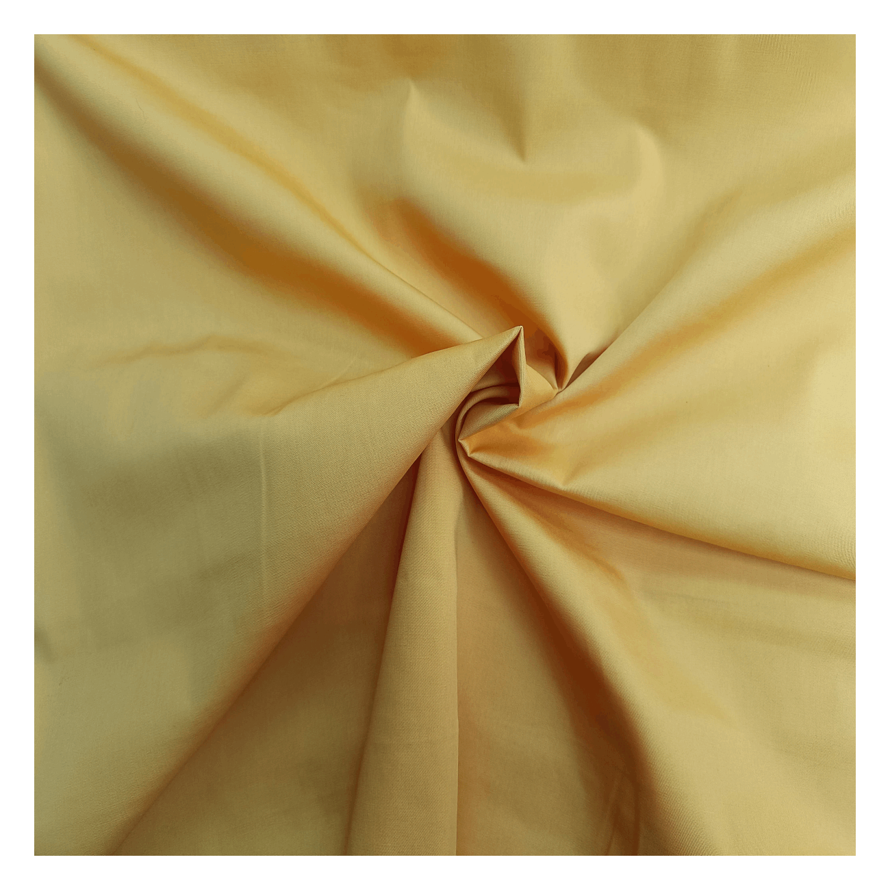 Popelina Lisa | Detalle